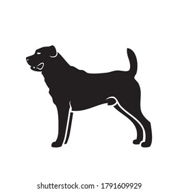 Central Asian shepherd dog Alabai  - isolated vector illustration
