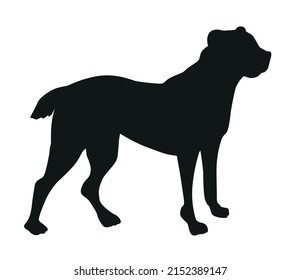 Central Asian Shepherd Dog (Alabai) black silhouette of a standing dog