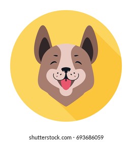 Central asian shepherd dog flat icon doggy head on yellow circle background. Smiling face of Alabai. Vector illustration of ancient breed of dogs. Massive and broad head with plane forehead.