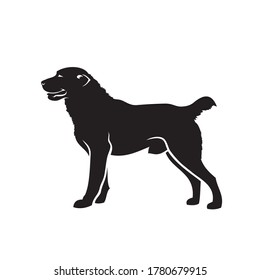 Central Asian shepherd dog - isolated vector illustration