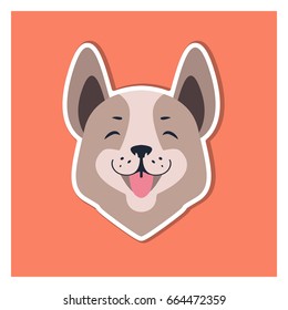 Central asian shepherd dog or Siberian husky head isolated on orange background. Smiling doggie face with pink tongue. Vector illustration of ancient breed of dog flat design. Hand drawn cartoon style