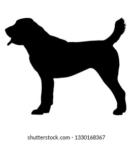 Central Asian Shepherd Dog. Vector illustration on white background