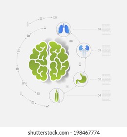 central  nervous system CNS