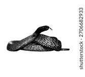 Central Ranges Taipan, coiled with its head raised and tongue flicking. The artwork highlights the snake’s textured scales and poised, alert posture, depicted in a classic vintage engraving style.