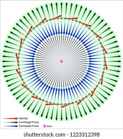 Centrifugal Force - Centripetal Force
