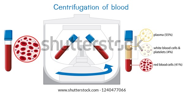 Centrifugation of blood\
diagram\
illustration