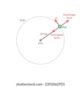 Centripetal force and centrifugal force diagram. Scientific resources for teachers and students. Vector illustration isolated on white background.