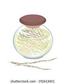 Centrosema Pubescens Pods in Vinegar, Sugar, Salt and Condiment in A Glass Jar, Good Source of Dietary Fiber, Vitamins and Minerals. 