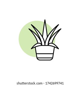 Centry, plant icon. Simple line, outline vector elements of flora with green circle for ui and ux, website or mobile application