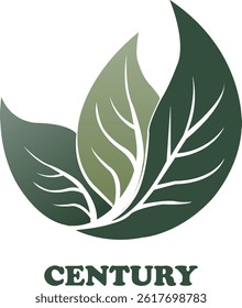  century leaf design logo type