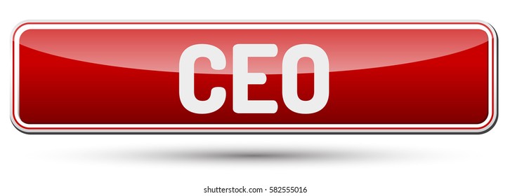 CEO - Abstract beautiful button with text.