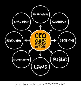 CEO Chief Executive Officer mind map showing corporate responsibilities like strategy, departments, calendar, decisions, public, laws, shareholders, and executive management functions