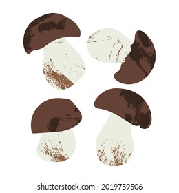 Cep, boletus edulis, porcini. Hongos comestibles. Comida forestal otoñal. Hongos crudos estacionales aislados en blanco. Producto vegetariano. Ilustración de dibujos animados planos vectoriales