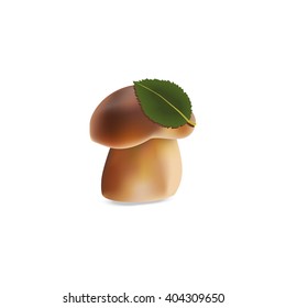 Cep icon. Mushroom covered with leaf.