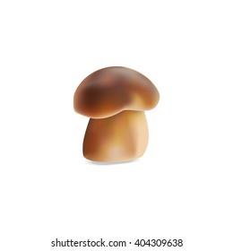 Cep icon. Mushroom illustration.