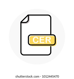 CER file format, extension color line icon. Vector illustration