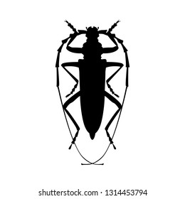 Cerambyx cerdo insect black outline vector silhouette