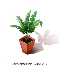 ceramic flowerpot with a grass. Isometric house flower isolated on a white background. Vector illustration