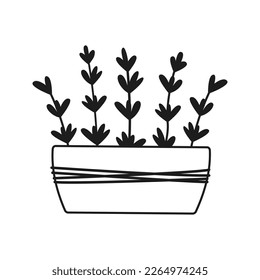 Ceramic pot with hand drawn lavender flowers. Vector illustration. Simple doodle style.