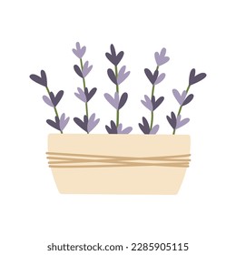 Ceramic pot with hand drawn lavender flowers. Vector illustration. Simple flat style.