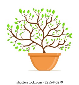 Ceramic pot with indoor tree. Cartoon crockery assortment icon. Template design for interior, decoration, branding, advertisement. Ceramic brown bowl for plant. Vector illustration