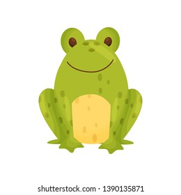 Ceramic salt shaker or pepper frog in the form of frog. Vector illustration.