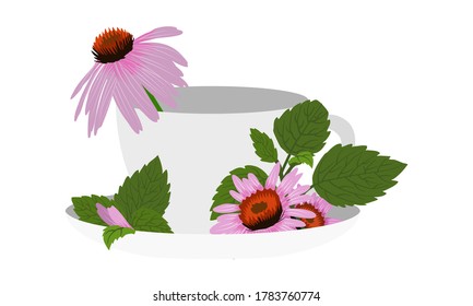 Ceramic white tea cup with echinacea leaves and flowers. Healing herbal tea. Vector illustration