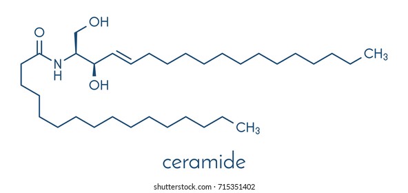 Ceramide cell membrane lipid molecule. Skeletal formula.