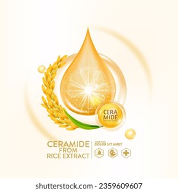 ceramide from rice extract serum Skin Care Cosmetic