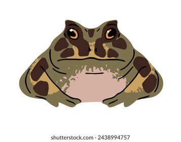 Rana ceratophrys con piel estampada y manchada. El gran sapo de cuernos se sienta. Reptil exótico verde con lindo hocico. Froglet de la selva. Anfibio de pantano tropical. Ilustración vectorial aislada plana en blanco