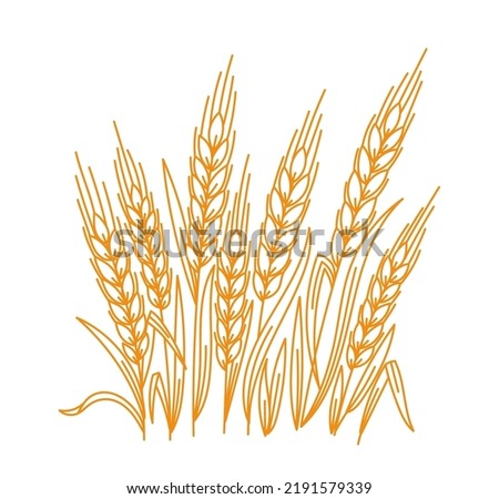 Cereal agriculture. Spikelets of wheat. Vector line. Editable outline stroke size thickness.