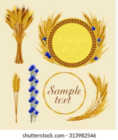 Cereal collection. Bunch of wheat, frame with wheat and cornflowers. Vector illustration.