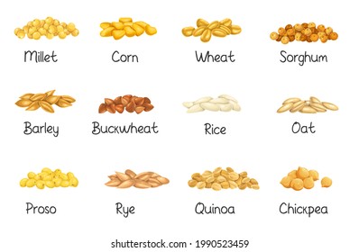 Cereal crops, agricultural vector illustration. Set heap grains seeds, farm crop harvest. Cereal of rice, wheat, corn, rye, barley, millet, buckwheat, sorghum, oat, quinoa, chickpea and proso.