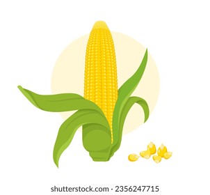 Cereal crops corn concept. Natural and organic product. Farming and agriculture. Healthy eating and vegetable with vitamins. Cartoon flat vector illustration isolated on white background