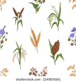 Cereal crops pattern. Seamless background with different grain plants. Repeating print with oat, barley and flax drawn in vintage style. Endless texture design. Vector illustration for decoration