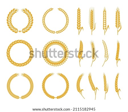 Cereal crops round wreaths and wheat, oat, rye and barley icons