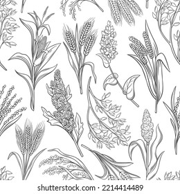 Cereal crops seamless pattern vector illustration  Line hand drawn texture grain grass harvest from farm field  sketch plants  flowers   ears  stalks   seeds  cereals decorative design