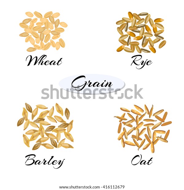 シリアル 種類の違う穀物 小麦 ライ麦 大麦 オート麦 ベクターイラストeps10 のベクター画像素材 ロイヤリティフリー 416112679