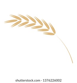 Cereal ear simple icon in flat vector illustration - ripe yellow agricultural seed of grain plant isolated on white background. Grain plant spike for natural farming organic eating concept.