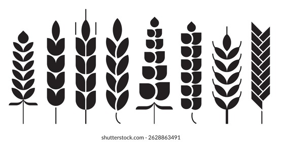 Cereal ear or spike outline icons. Wheat, rye, barley and millet vector natural grains. Yellow plant stalk for bread baking, isolated bakery, harvest and agriculture industry symbols. farm grains