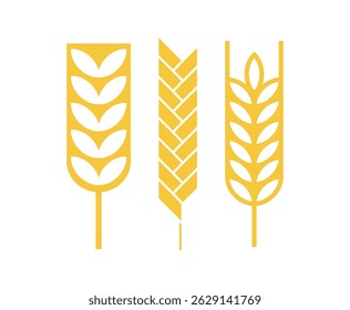 Cereal ear or spike outline icons. Wheat, rye, barley and millet vector natural grains. Yellow plant stalk for bread baking, isolated bakery, harvest and agriculture industry symbols. farm grains