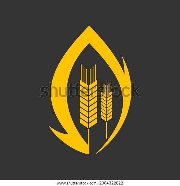 Cereal ear and spike vector icon. Wheat, rye,\
barley, rice or millet stalks with golden grains. Bread flour, food\
product, agriculture industry, bakery, mill or crop plant farm\
isolated symbol