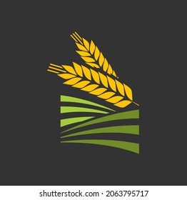 Cereal ear and spike of wheat, barley or rice, millet stalk vector icon. Bread bakery spikelet for grain food and agriculture, wheat ear or barley spike on green farm field, organic crop harvest