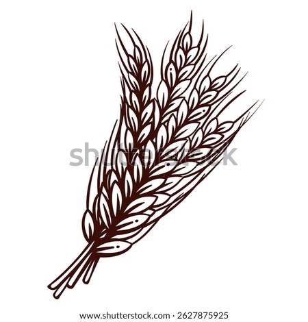 Cereal ears bunch line icon. Outline hand drawn branches of wheat or barley with stalk and grains, vintage emblem of harvest. Agriculture mascot, ears crop icon vector illustration