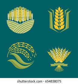 Cereal ears and grains agriculture industry or logo badge design vector food illustration organic natural symbol