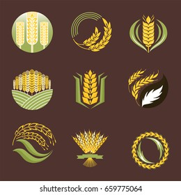 Cereal ears and grains agriculture industry or logo badge design vector food illustration organic natural symbol