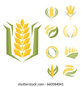 Cereal ears and grains agriculture industry or logo badge design vector food illustration organic natural symbol