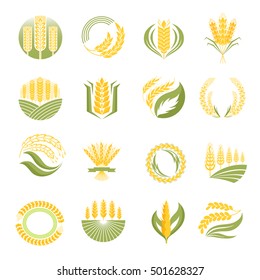 Cereal ears and grains set for agriculture industry or logo design