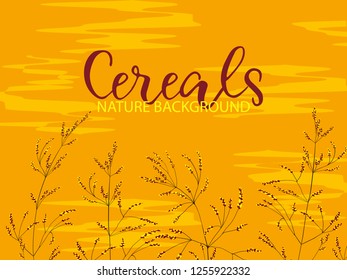 Cereal field.Border of hand drawn cereal plants on colorful background.Wheat ear,organic grain.Digital canvas artwork.