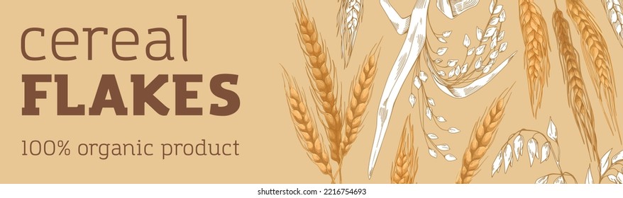 Cereal flakes banner design. Organic grain food, product, advertising horizontal background. Bread, bakery promotion template with spikelet, kernel crop, plant. Hand-drawn graphic vector illustration